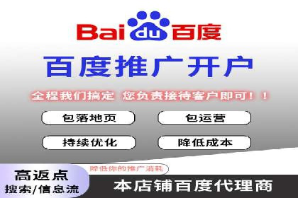 精准营销：百度推广平台的成功案例解析